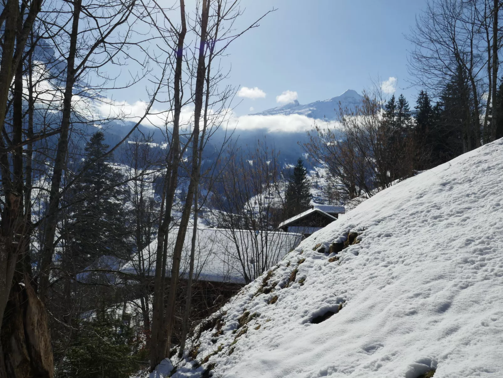 Chalet Colette-Buiten