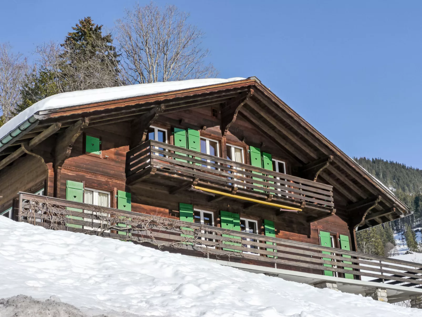 Chalet Pitschun-Buiten