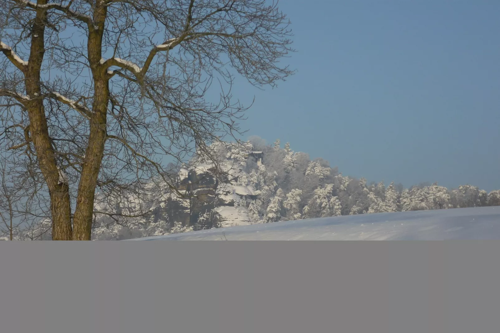 Koenigstein-Gebied winter 1km