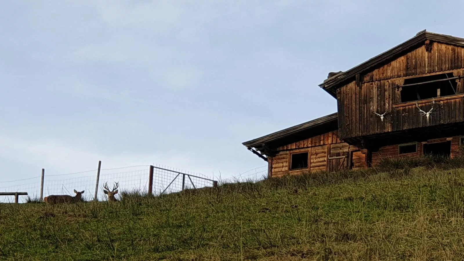 Sonnenhütte unten-Buitenkant zomer