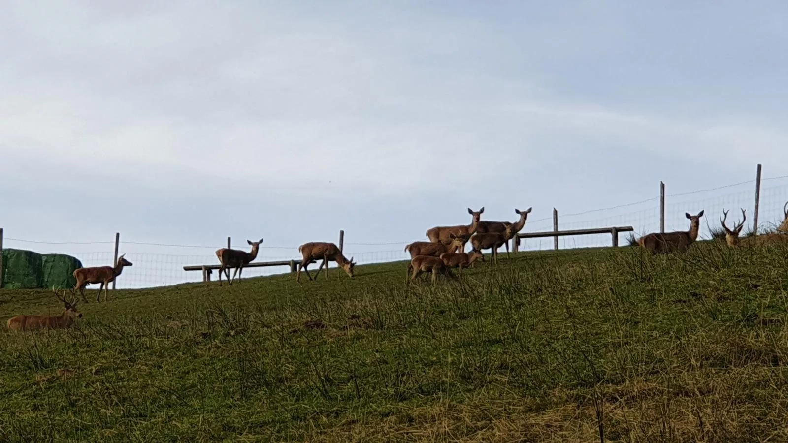 Sonnenhütte unten-Gebieden zomer 1km