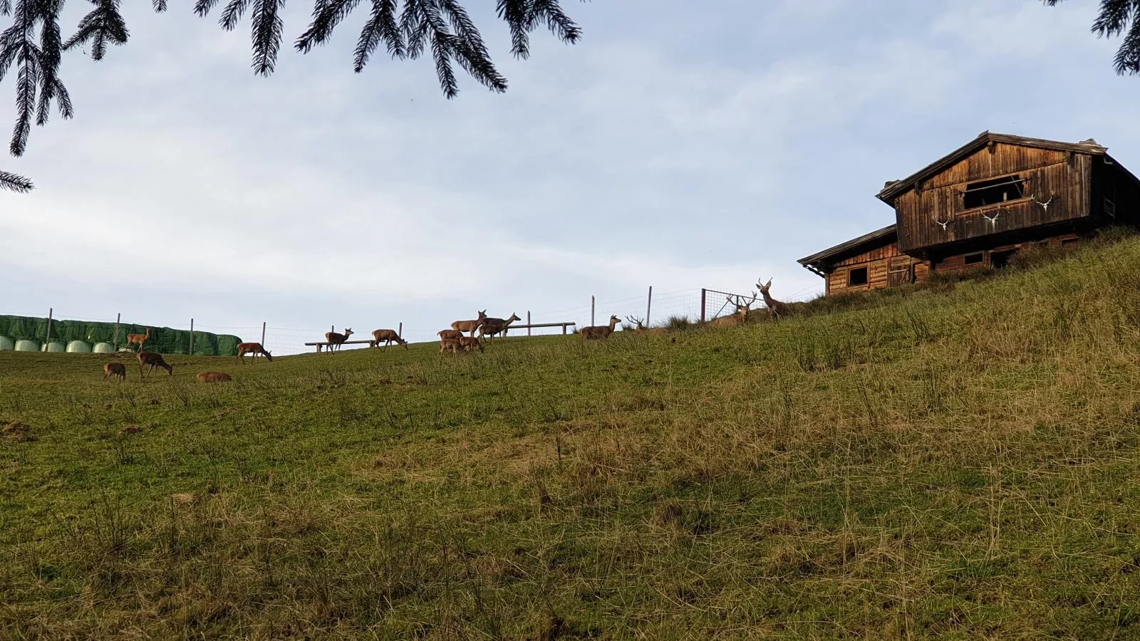 Sonnenhütte unten-Buitenkant zomer