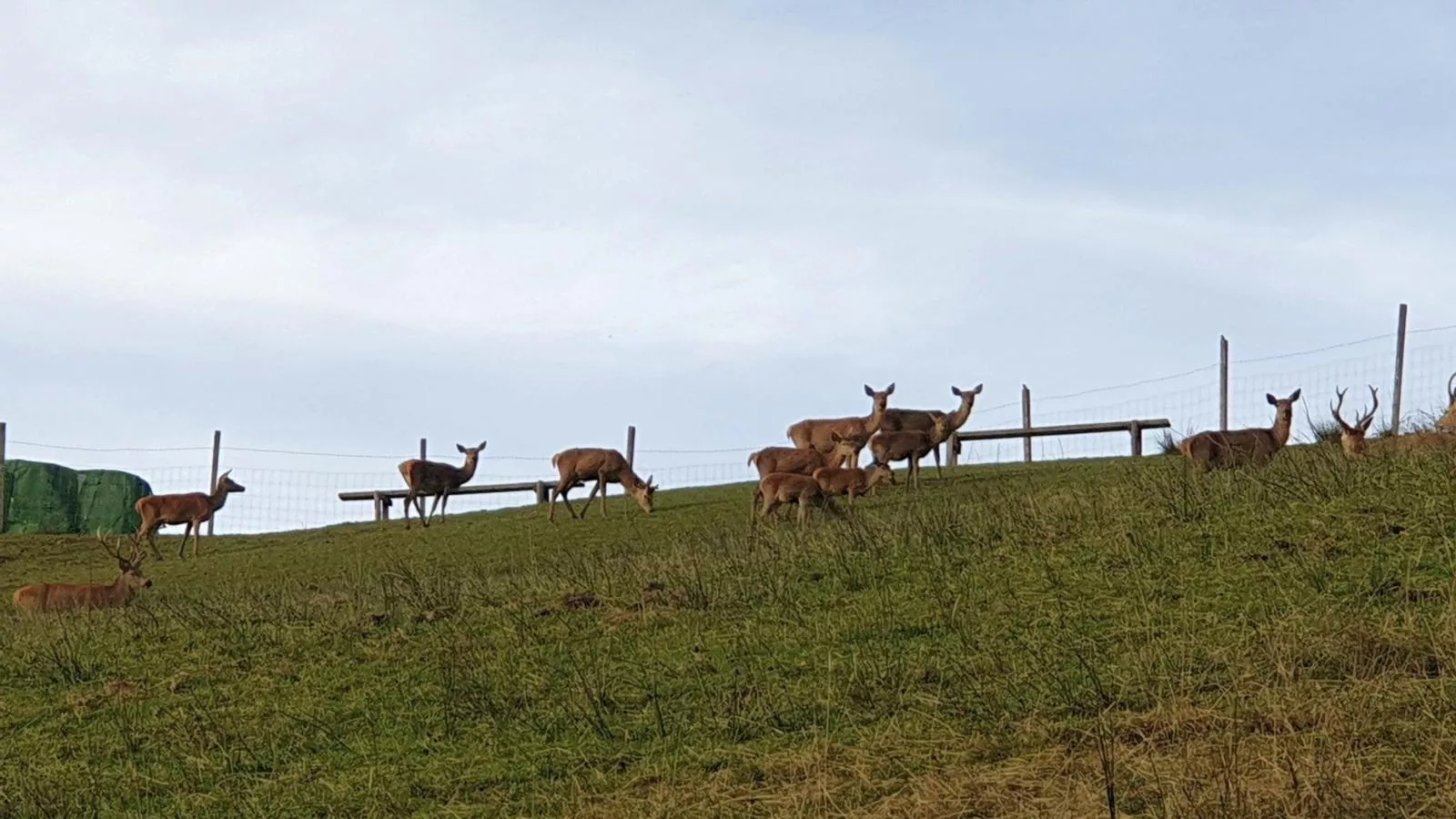 Sonnenhütte oben-Gebieden zomer 1km