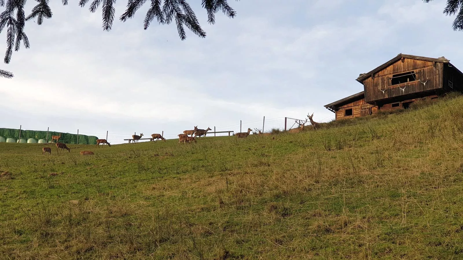 Sonnenhütte oben-Gebieden zomer 1km