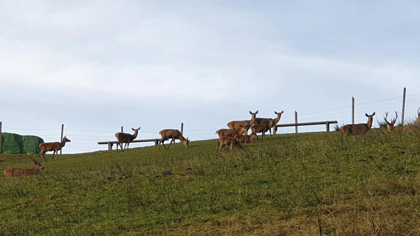 Sonnenhütte-Gebieden zomer 1km