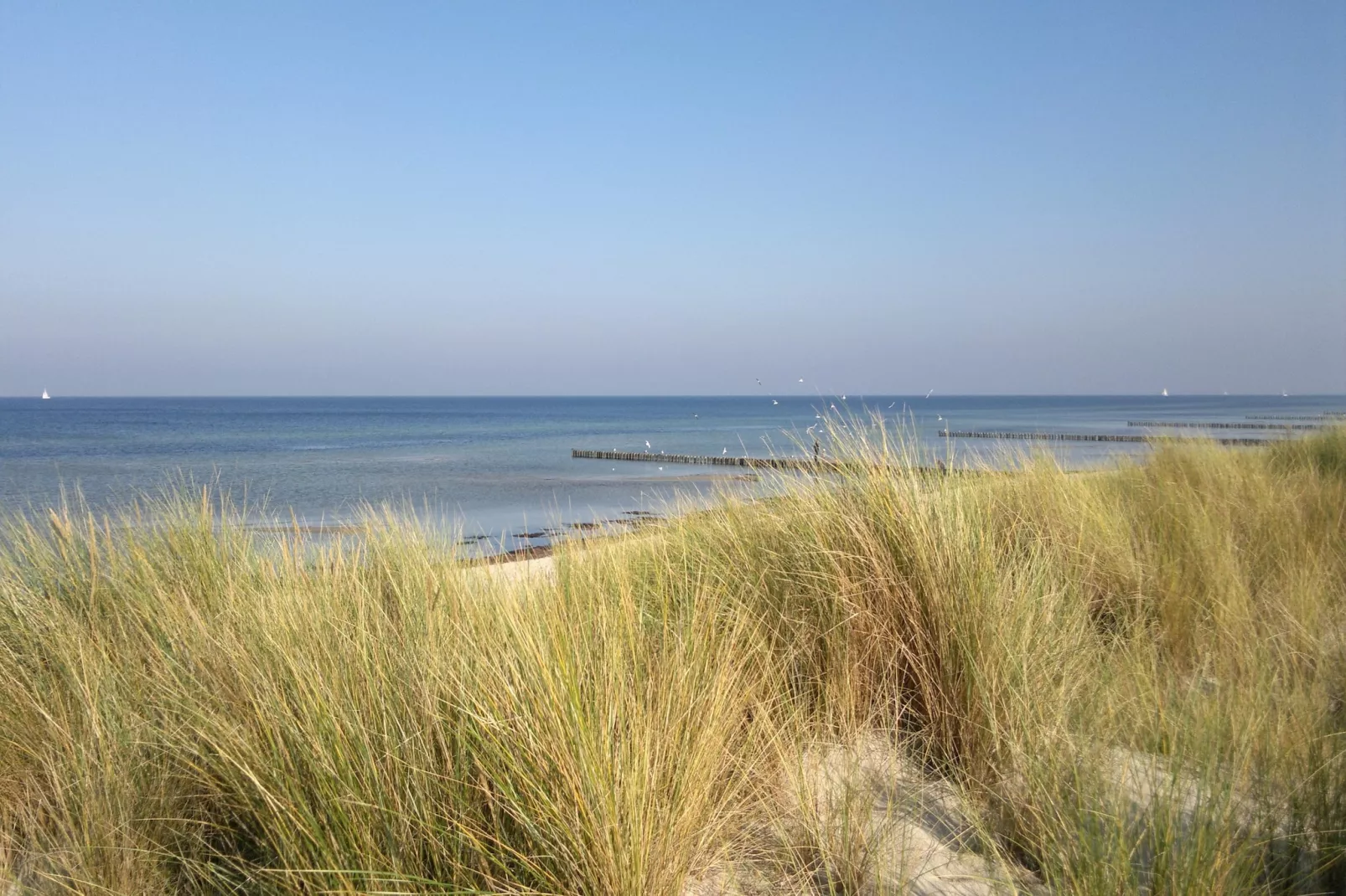 Bungalowanlage Gänseblümchen 6-Gebieden zomer 5km