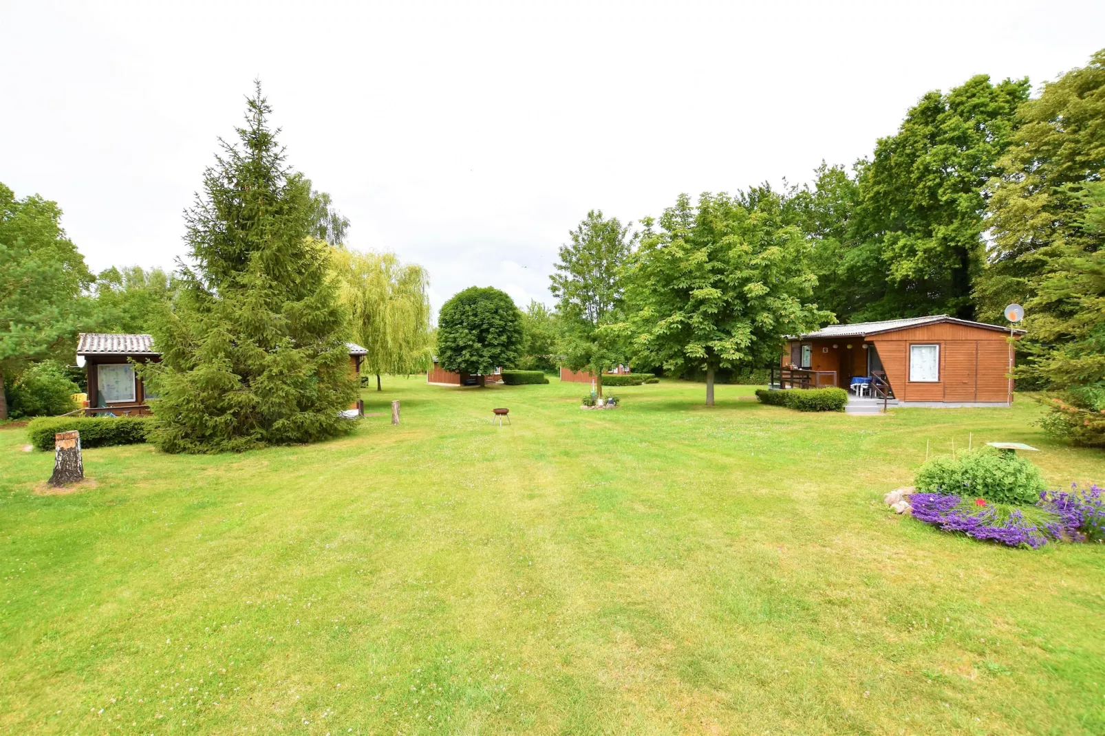 Bungalowanlage Gänseblümchen 6-Gebieden zomer 5km