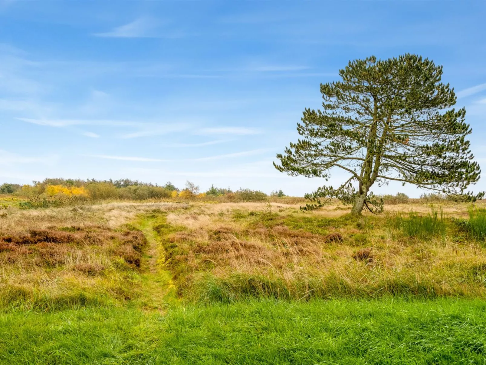 "Hejdie" - 150m from the sea-Buiten