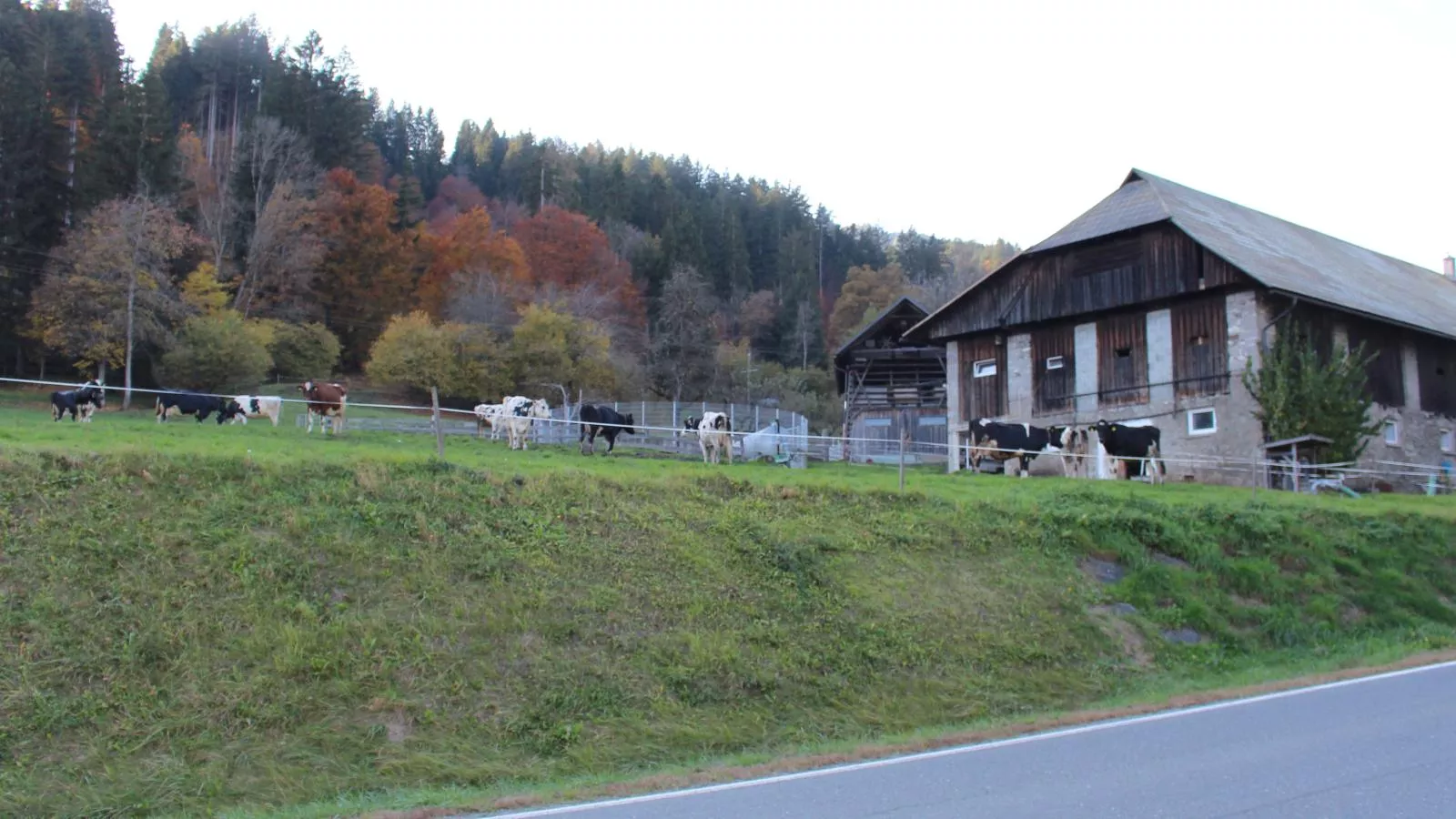 Obermöschach 5A-Uitzicht zomer