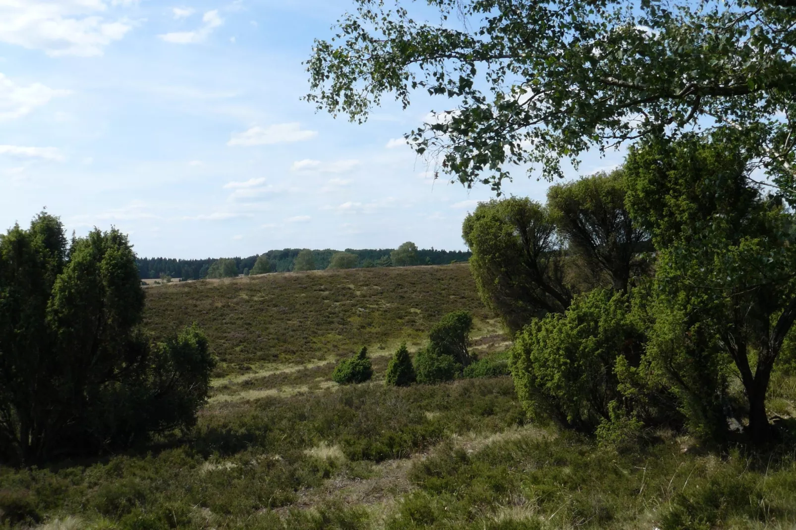 Ericaheidepark-Gebieden zomer 20km