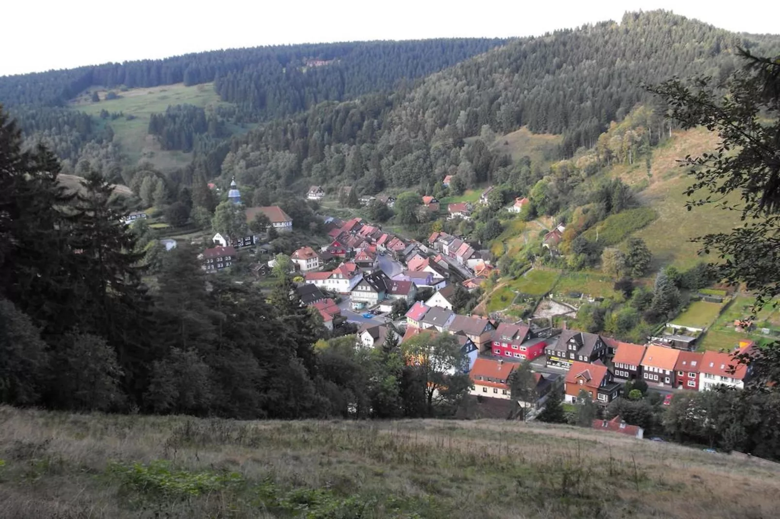 Wildemann-Gebieden zomer 5km