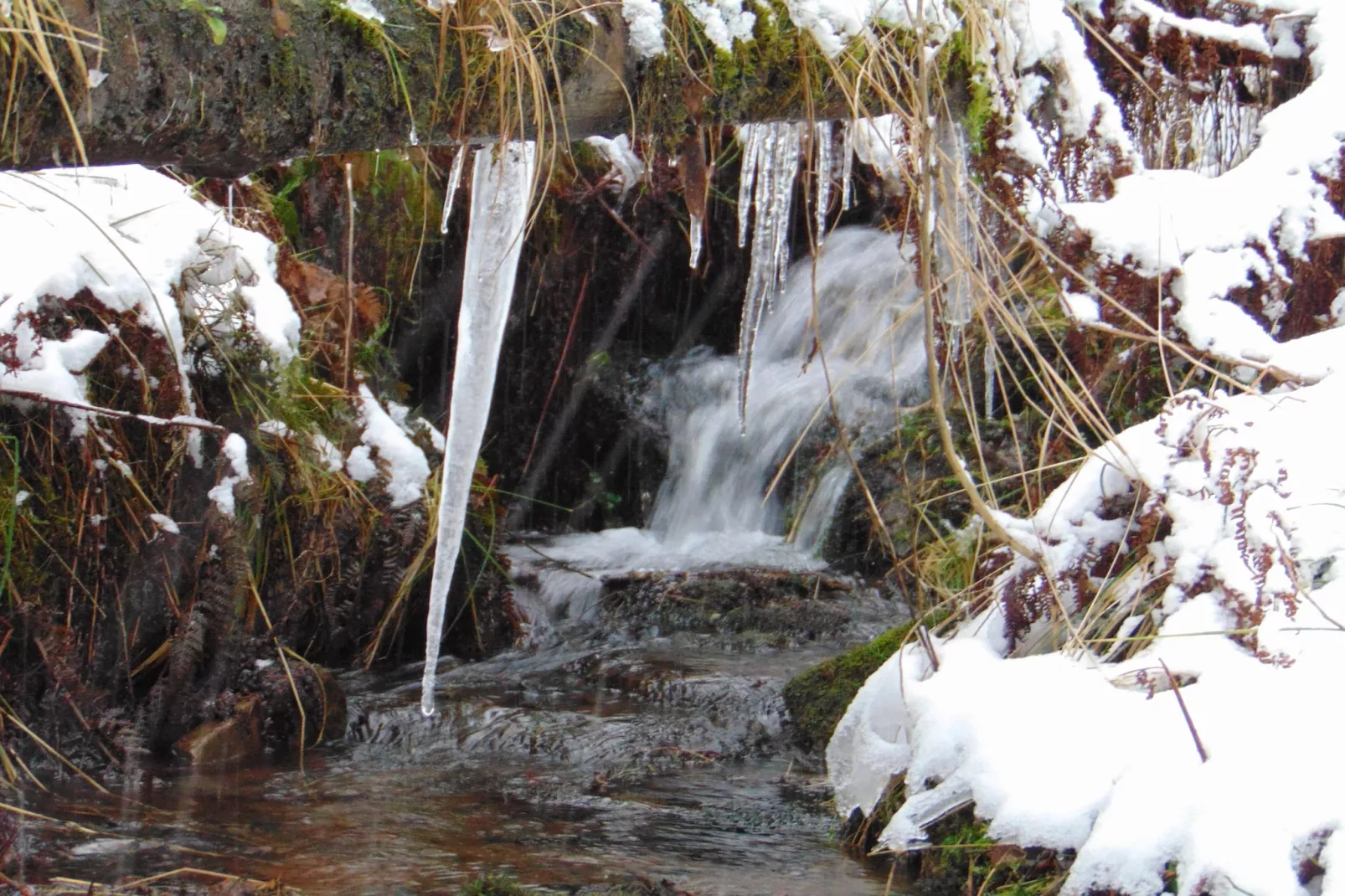 Wildemann-Gebied winter 5km