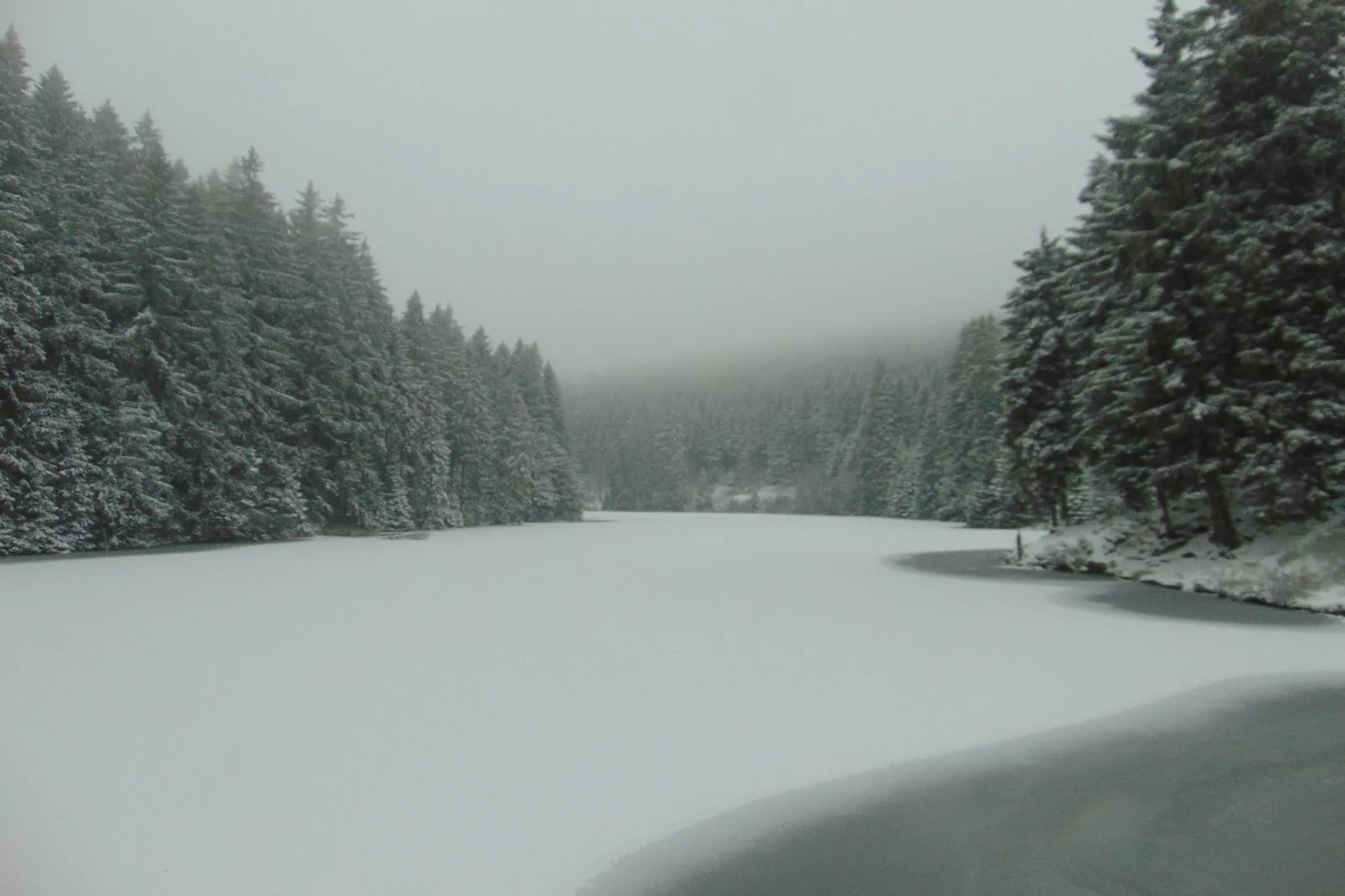 Wildemann-Gebied winter 5km