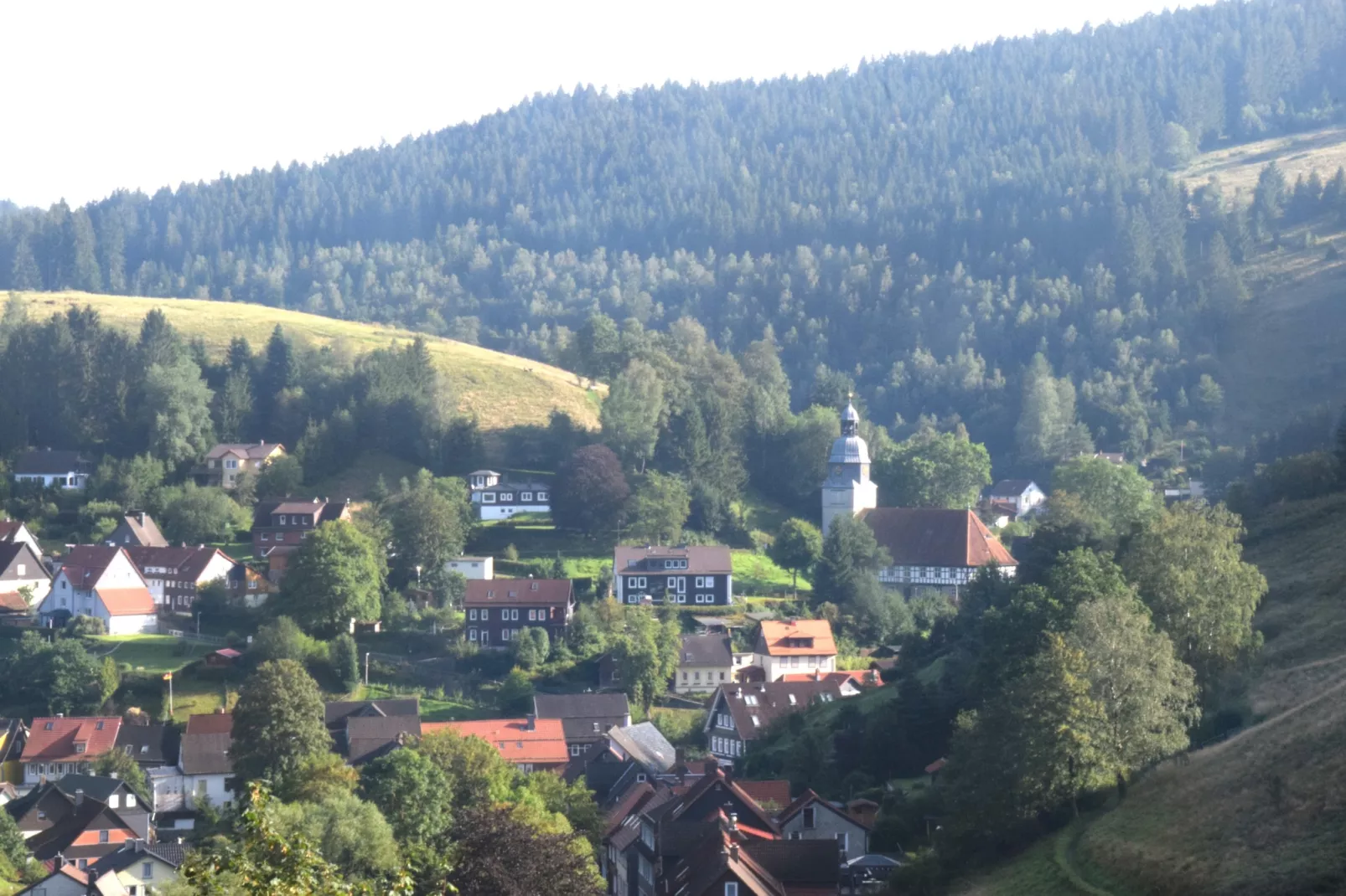 Ferienwohnung Veranda in Harz Wildemann-Gebieden zomer 5km