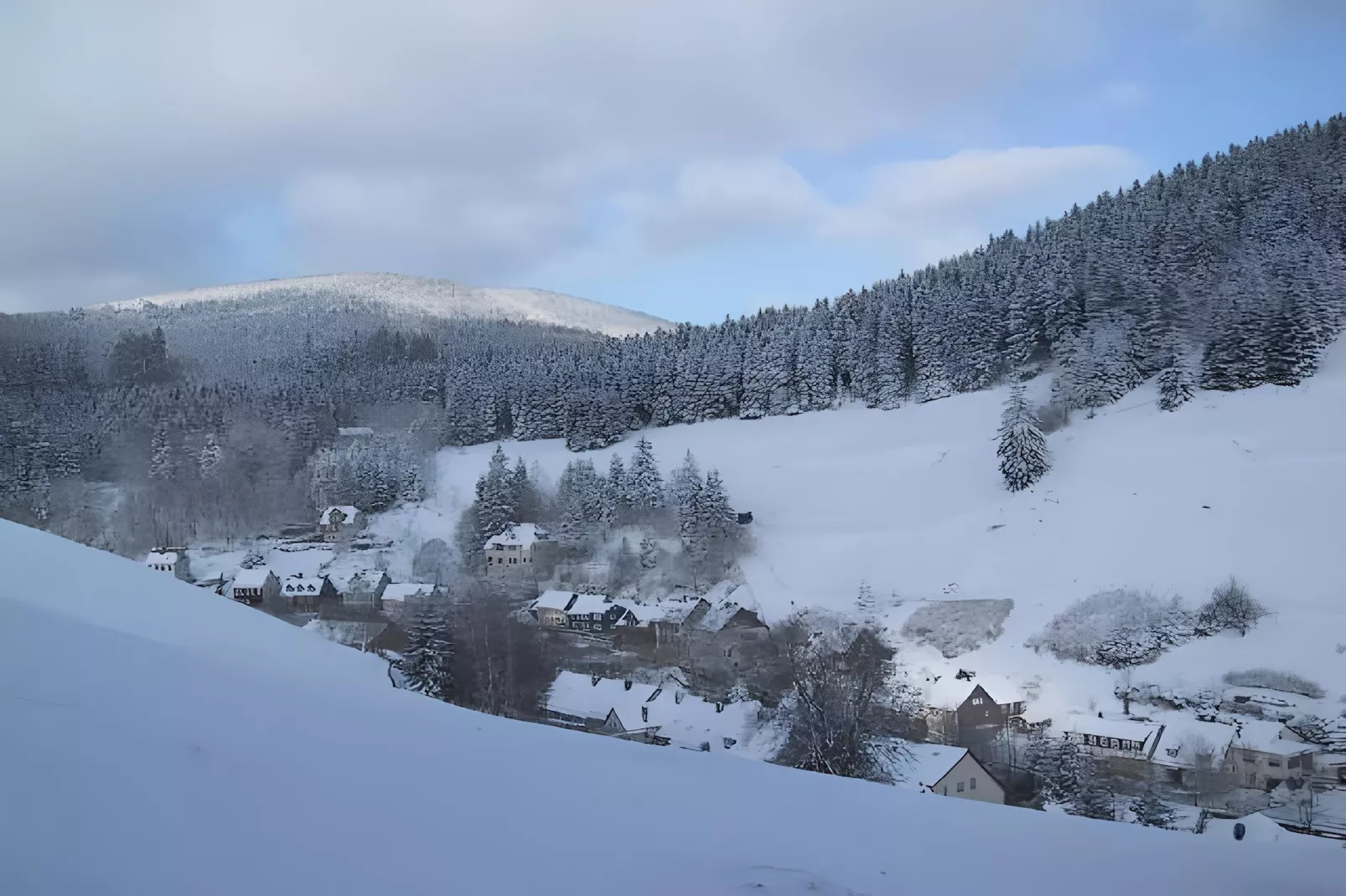 Ferienwohnung Stern - Harz Wildemann-Gebied winter 5km