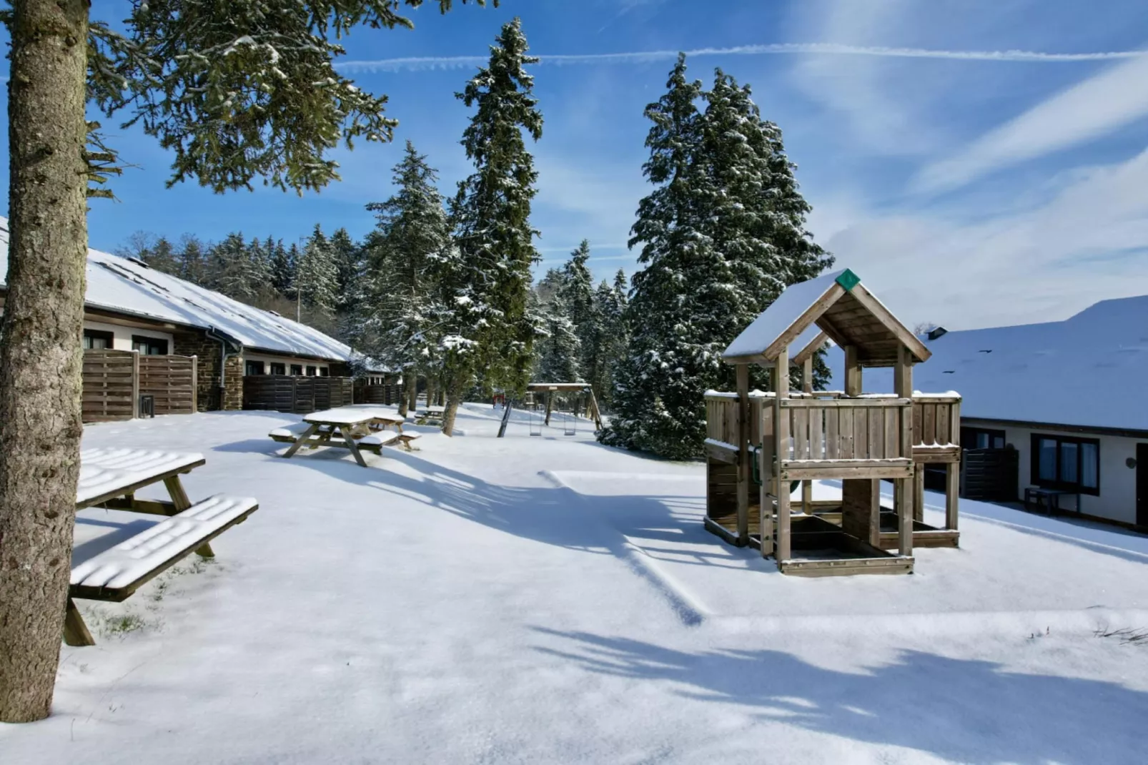 Sapinière Type A-Gebied winter 1km