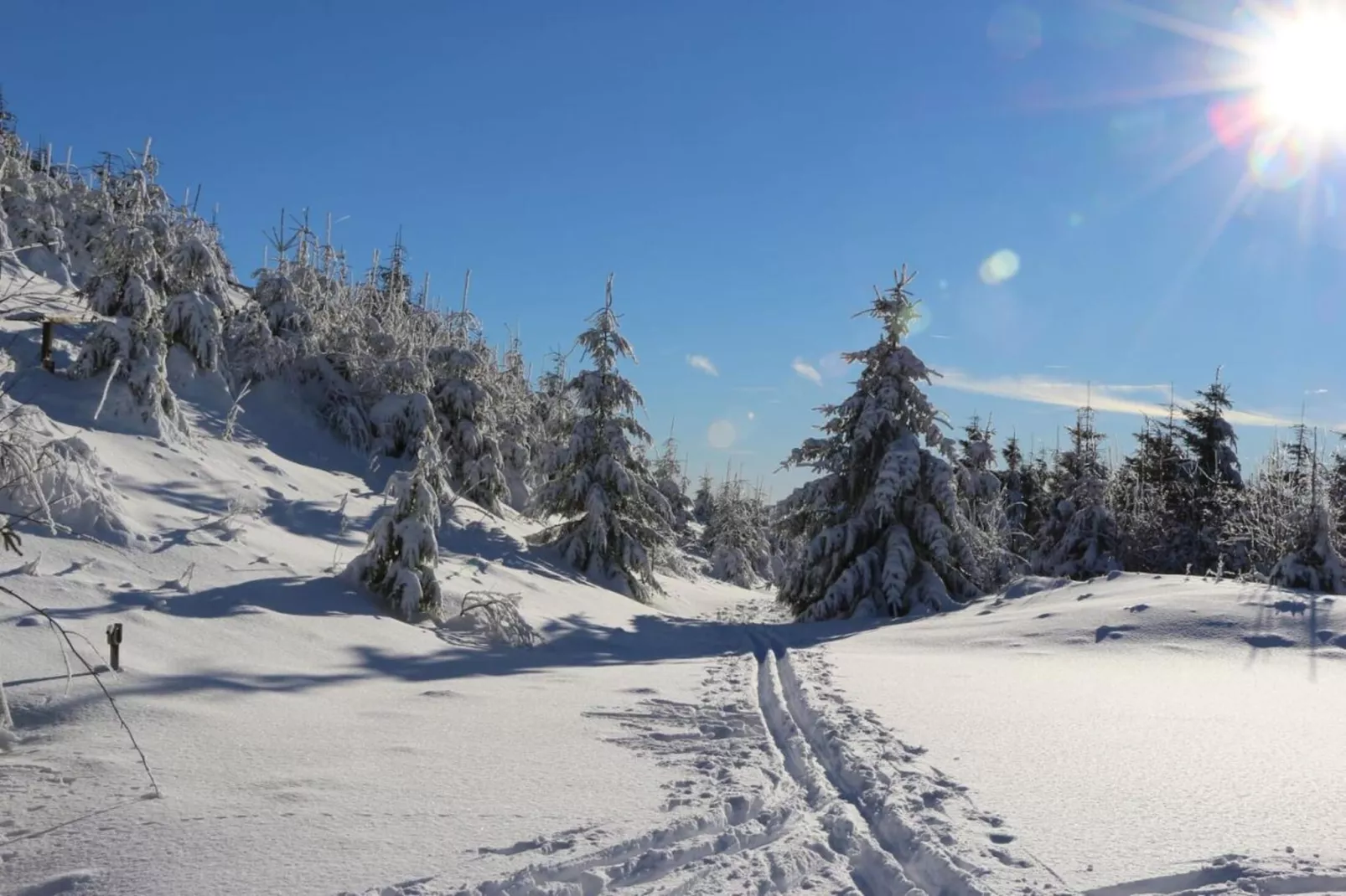 Appartement Lenneblick 2 - Altastenberg-Gebied winter 5km