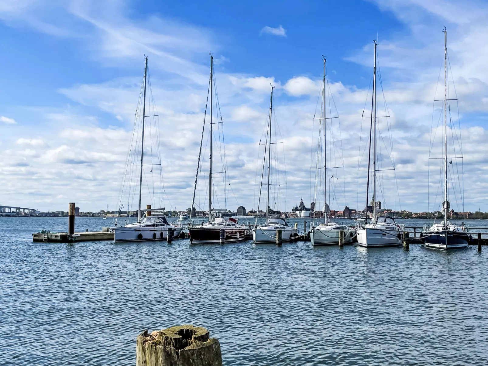 Strandläufer-Omgeving