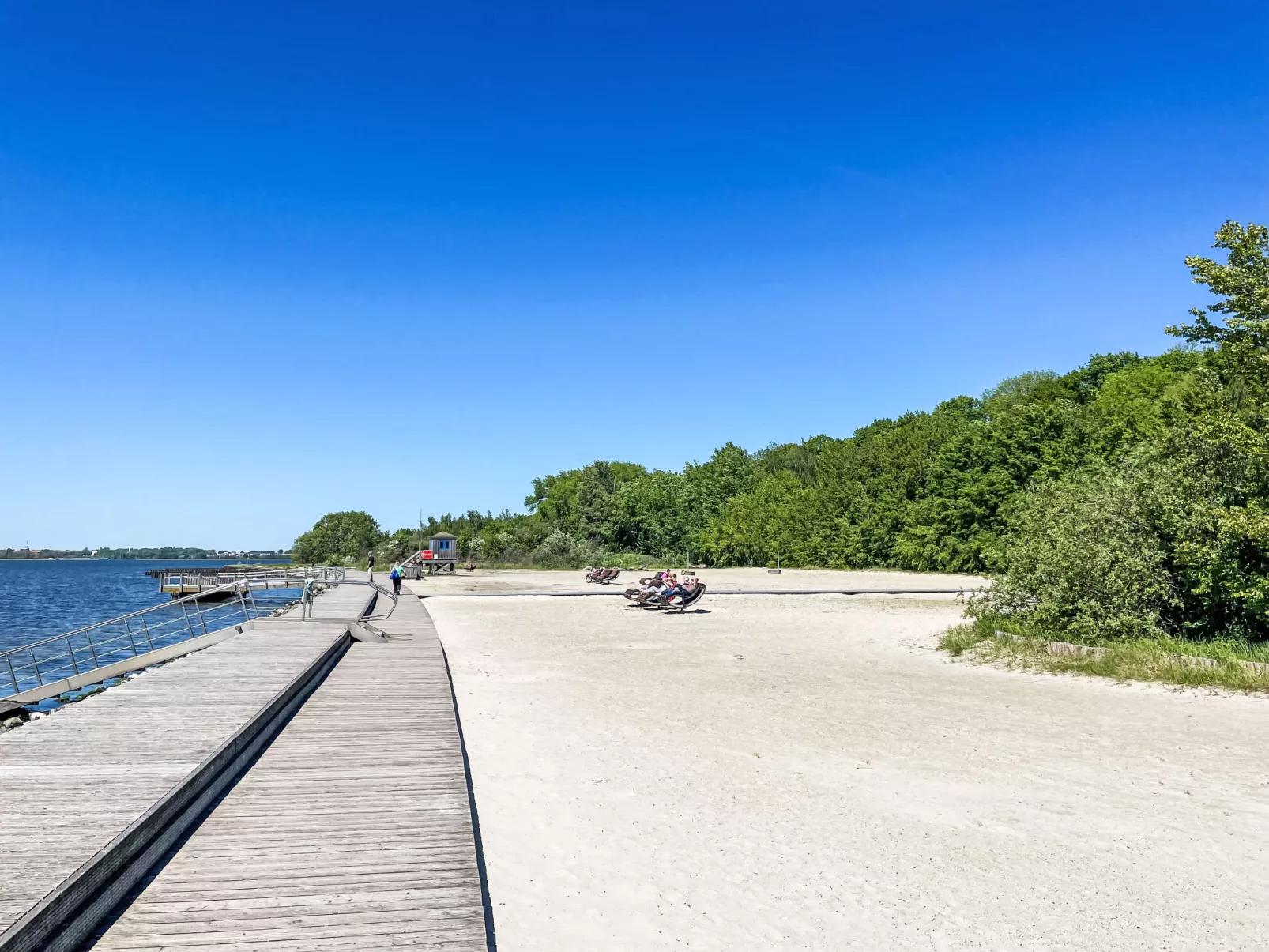 Strandläufer-Omgeving