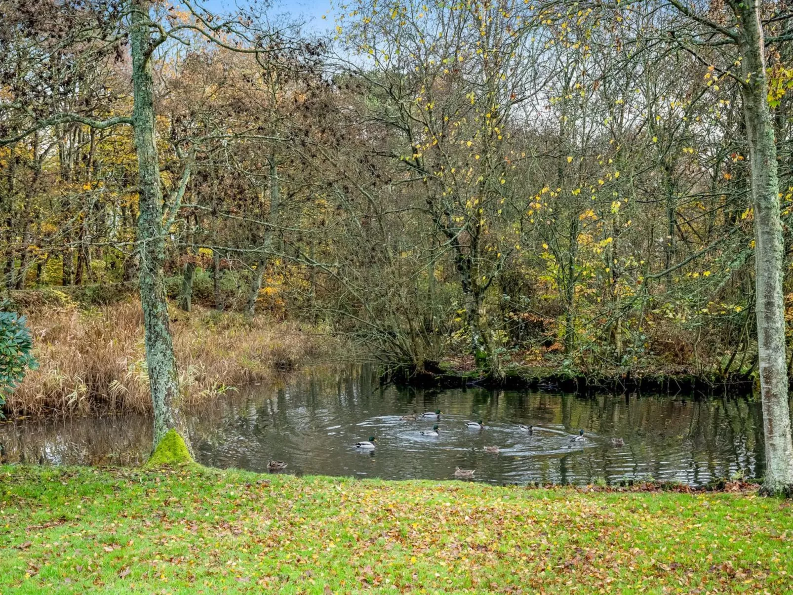 "Kamp" - 1km to the inlet-Buiten