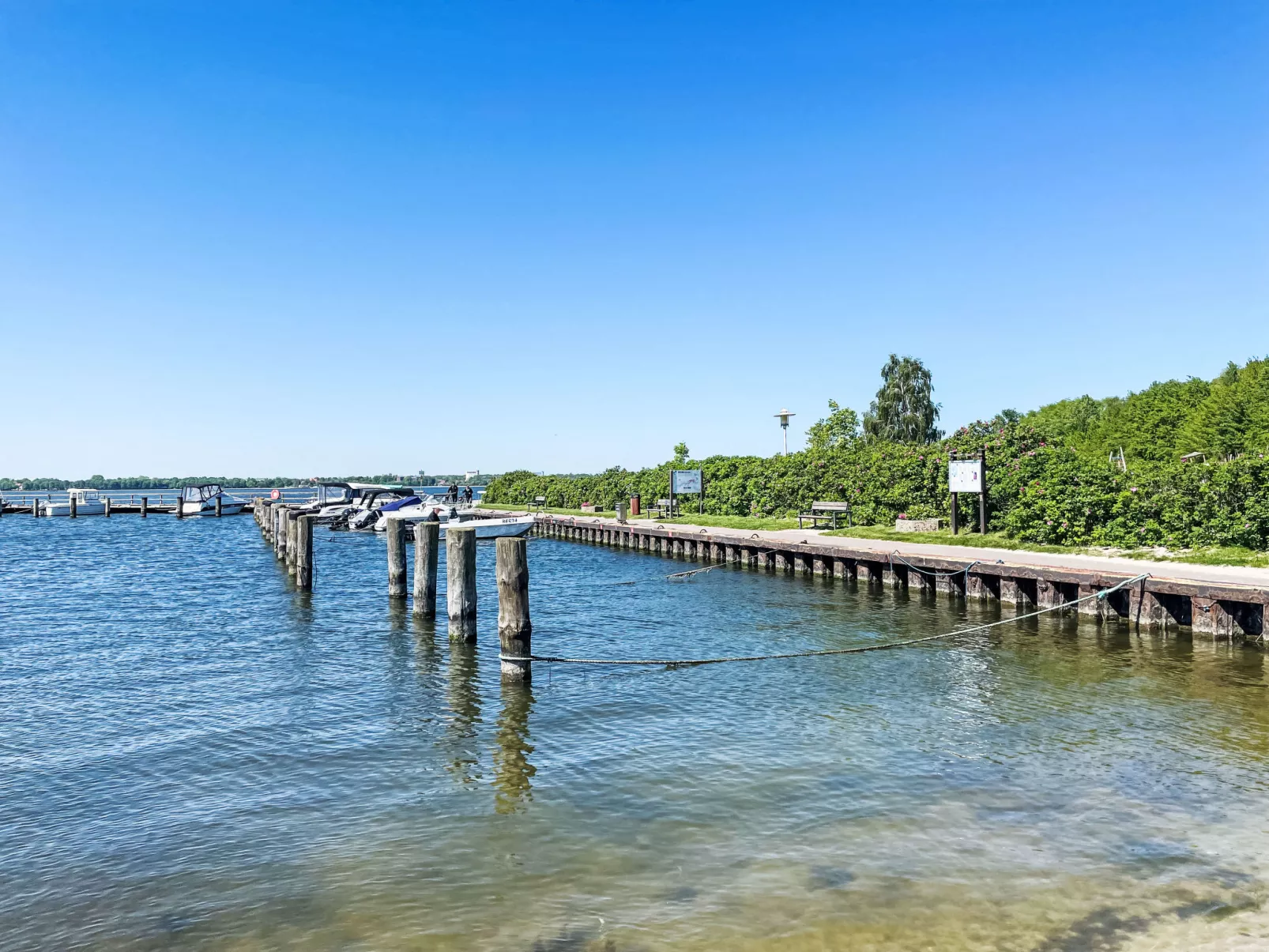 Strandläufer-Omgeving