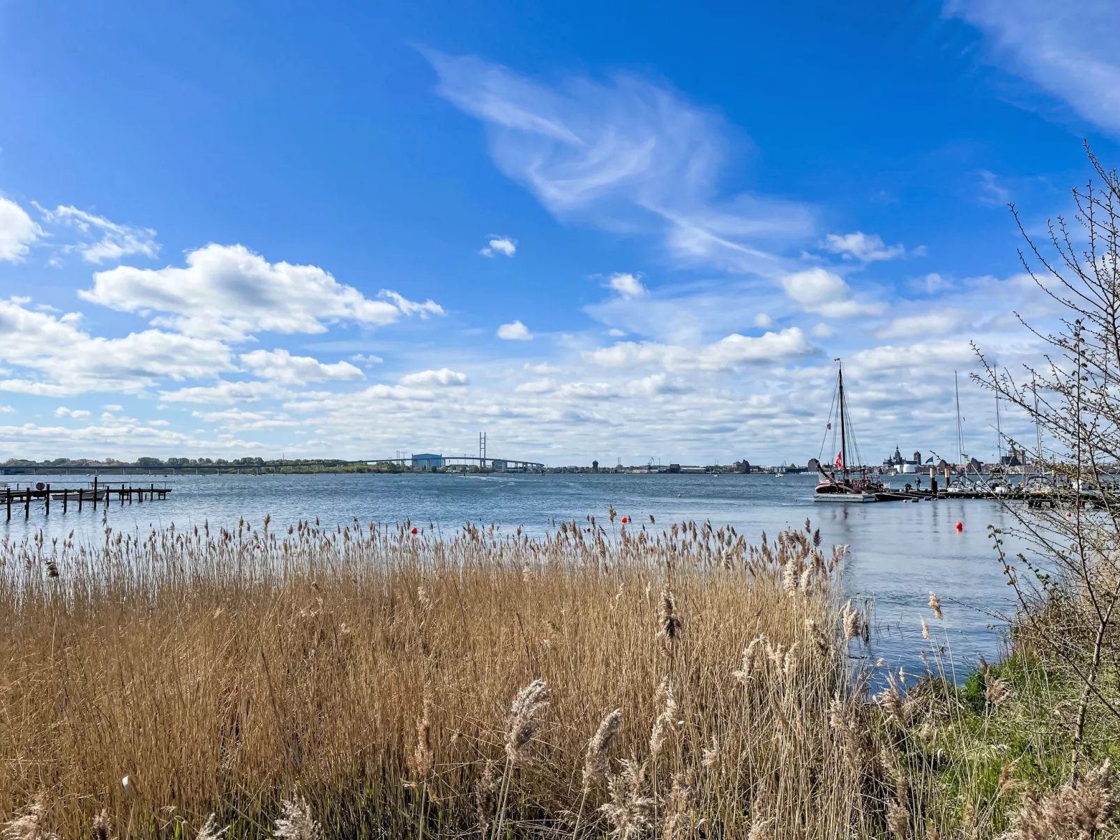 Strandläufer-Omgeving