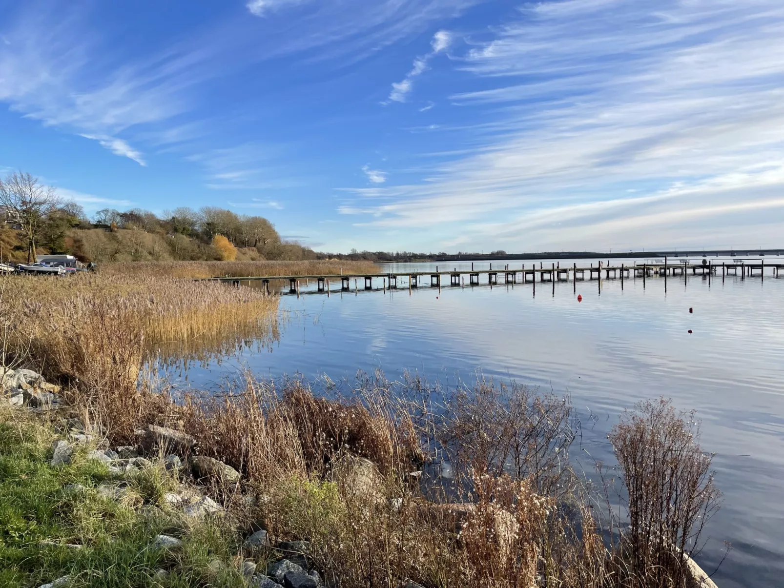 Strandläufer-Omgeving