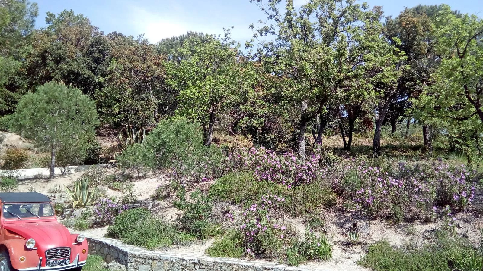 Entre les Vignes-Tuinen zomer