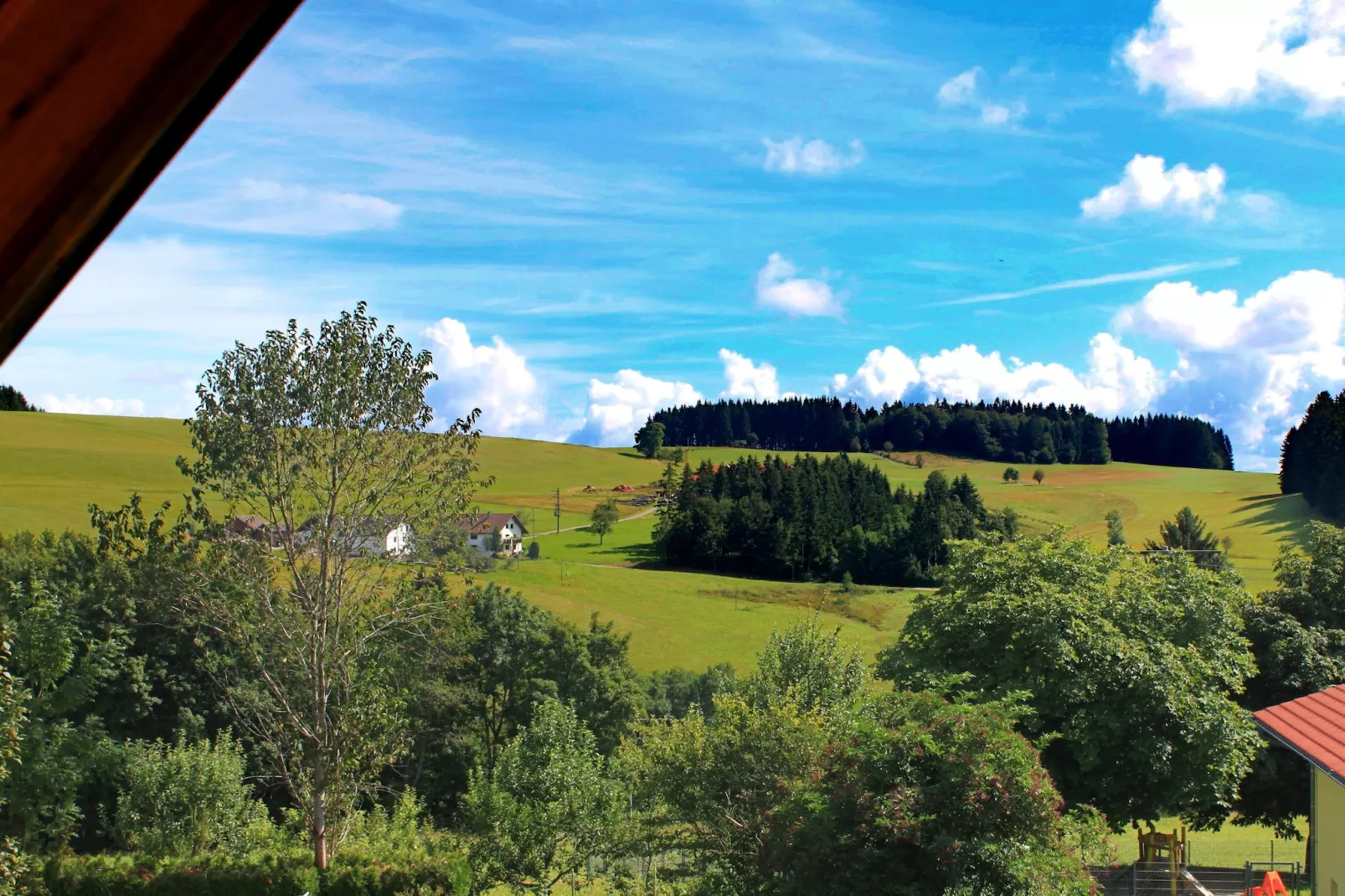 Schwarzwald-Uitzicht zomer