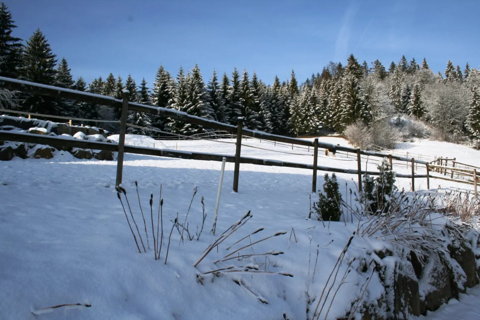 Vogelsang-Uitzicht winter