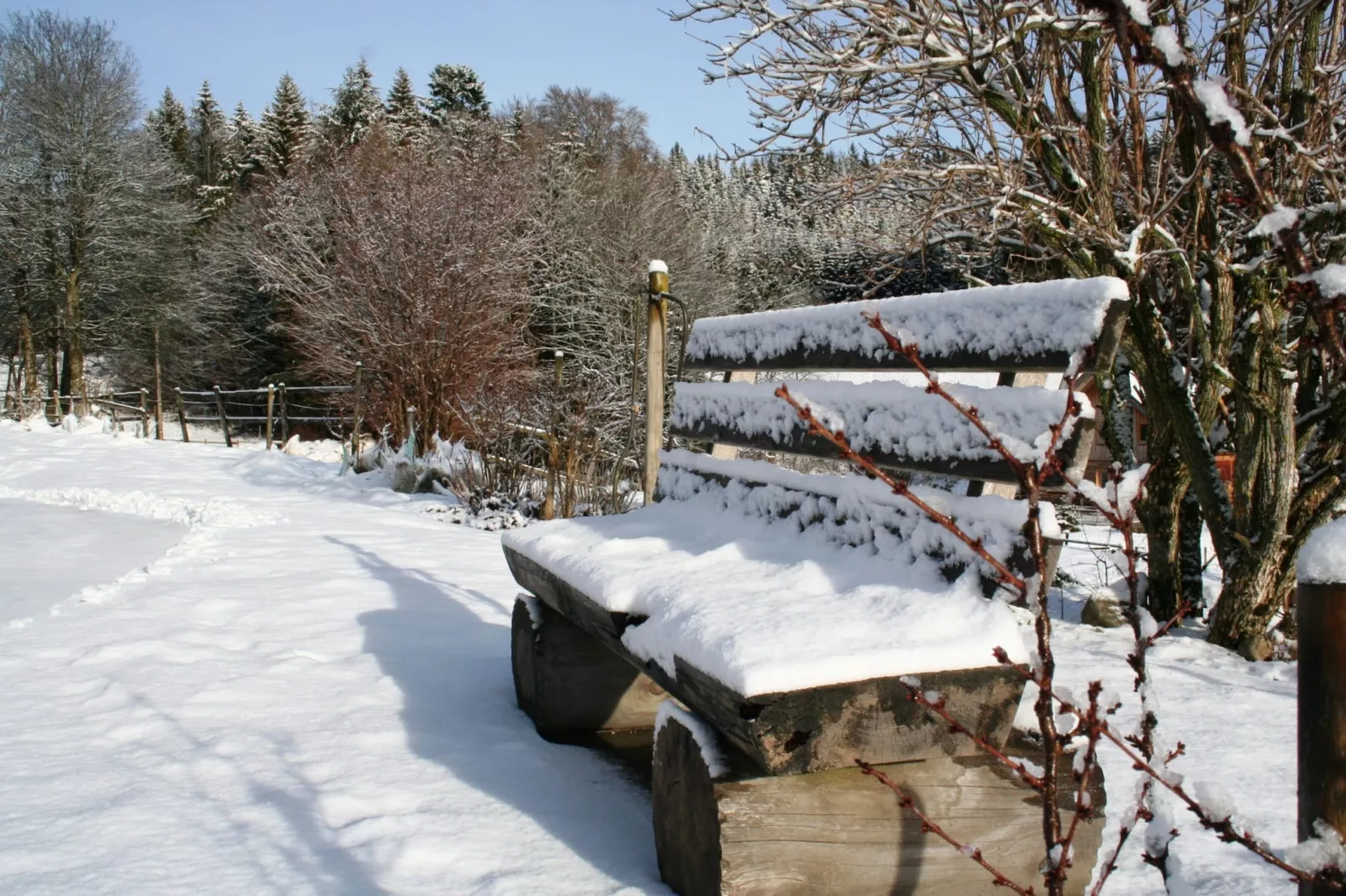 Vogelsang-Gebied winter 5km