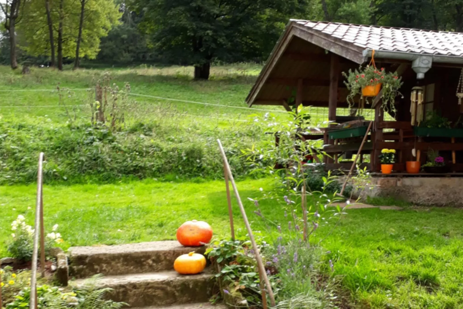 Ferienparadies am Rennweg-Terrasbalkon