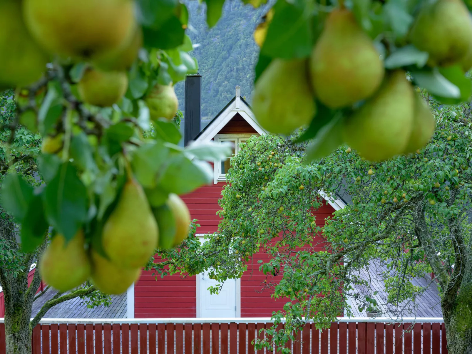 Tor-Buiten