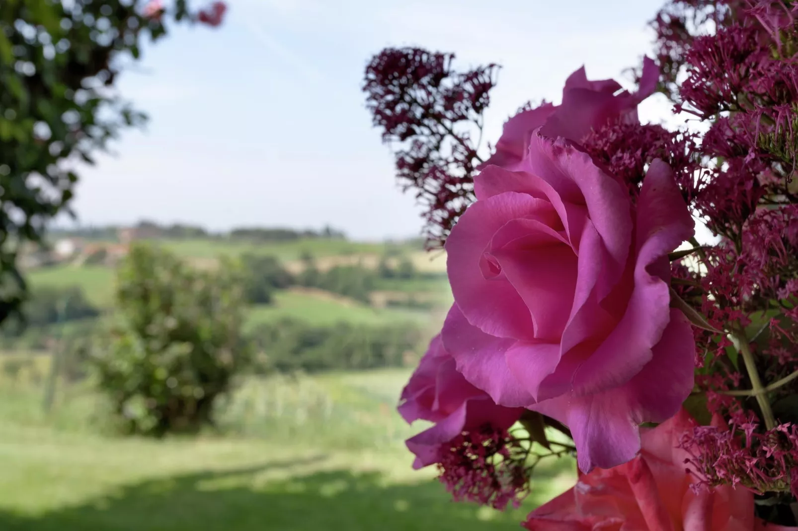 Castagno della Civetta-Buitenkant zomer