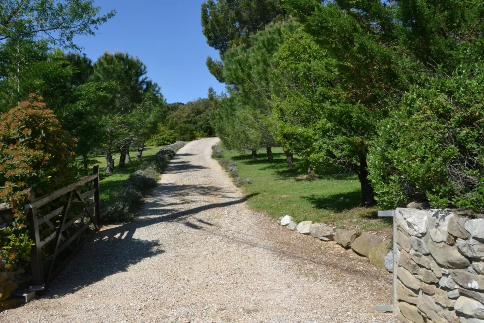 La Pampa-Gebieden zomer 1km