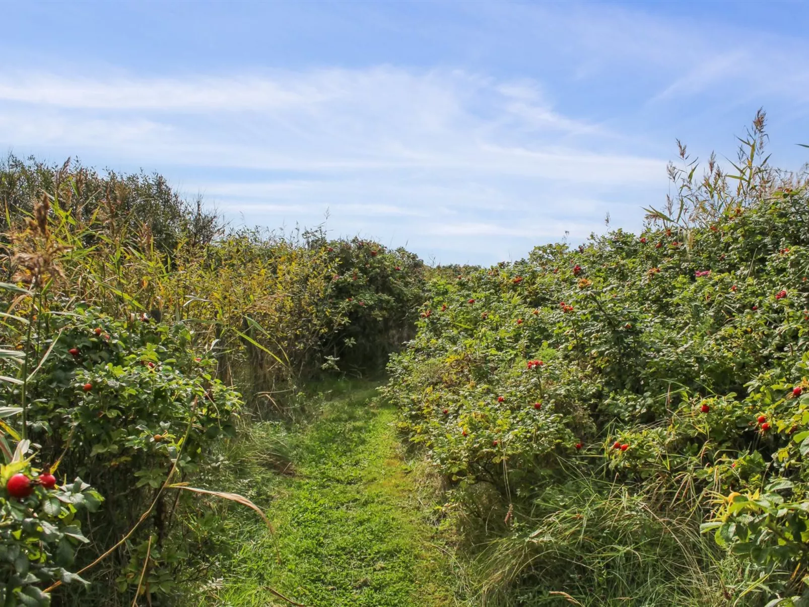 "Hening" - 50m from the sea-Buiten