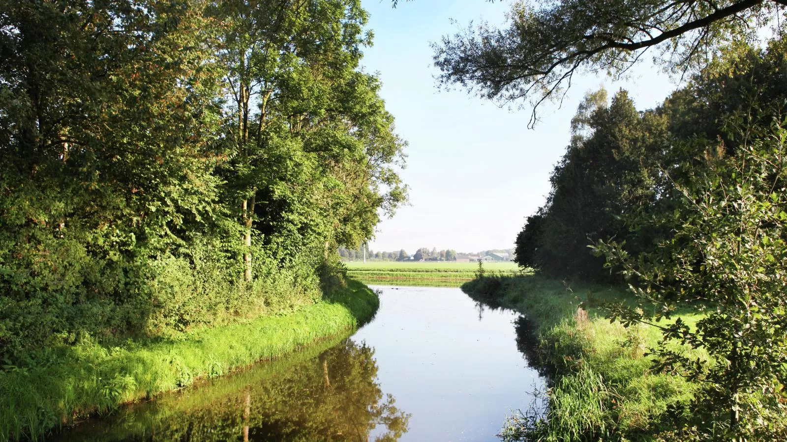 Erve Koeleman-Gebieden zomer 5km