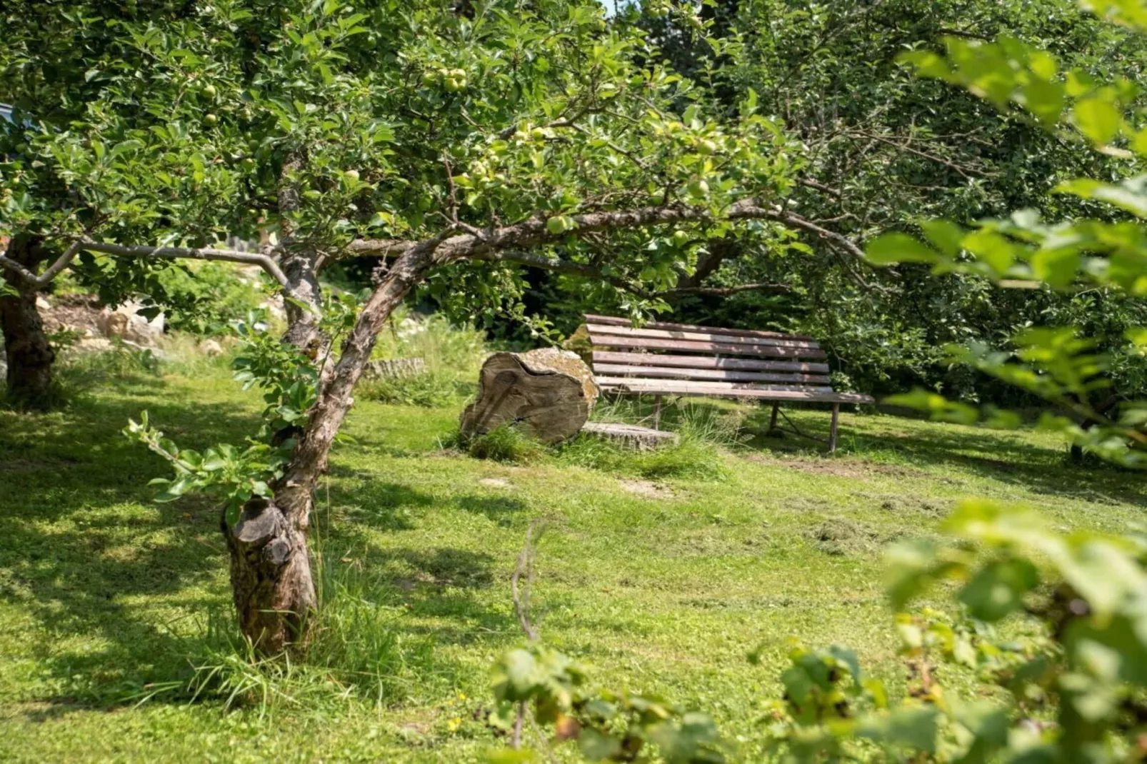 Villa-Tuinen zomer