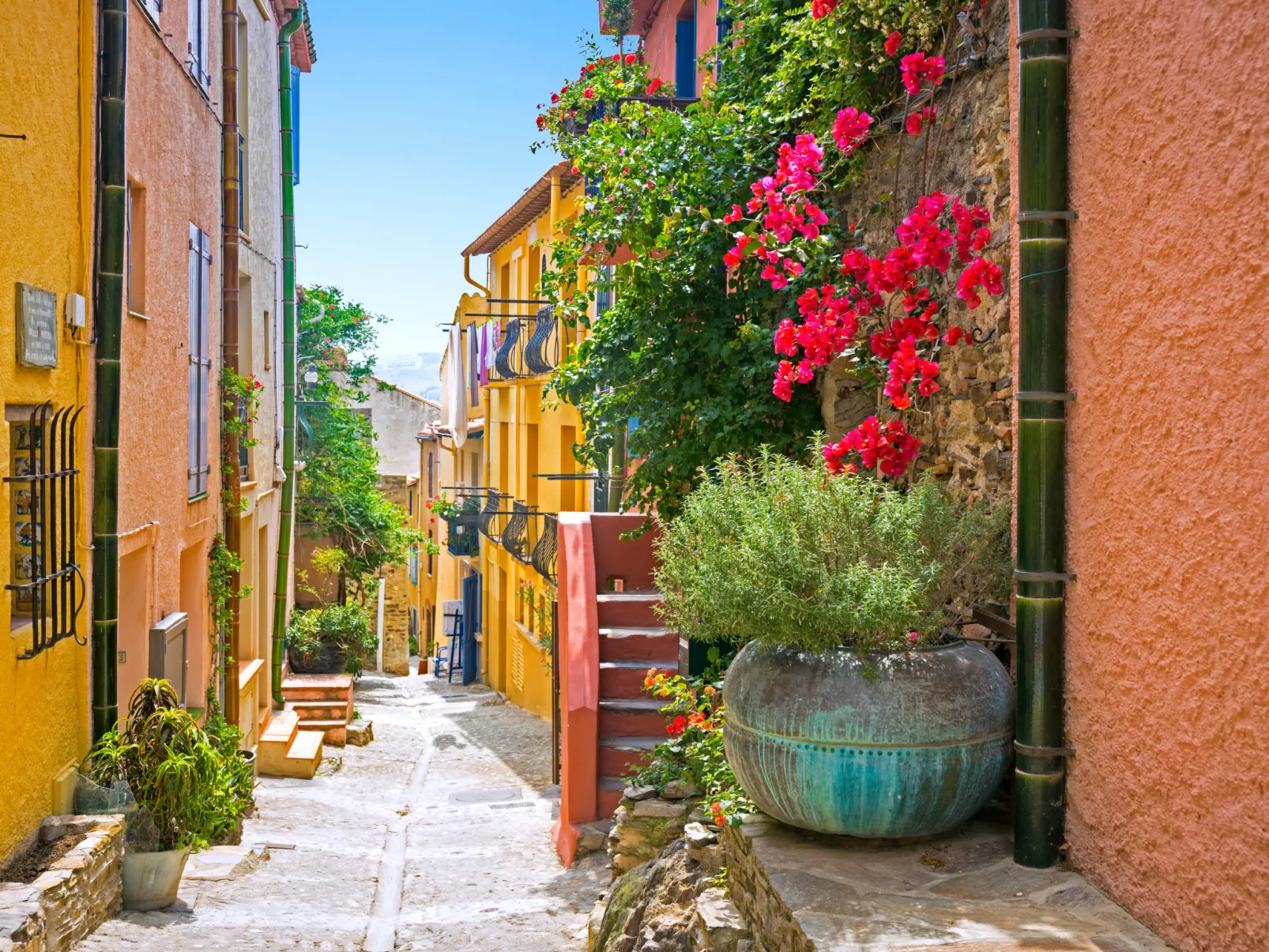 Les Hauts de Collioure-Omgeving