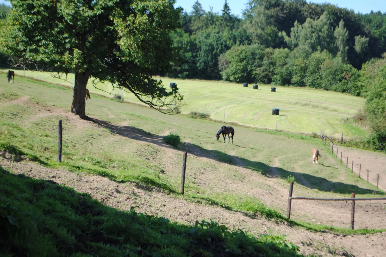 Haute Levée-Tuinen zomer