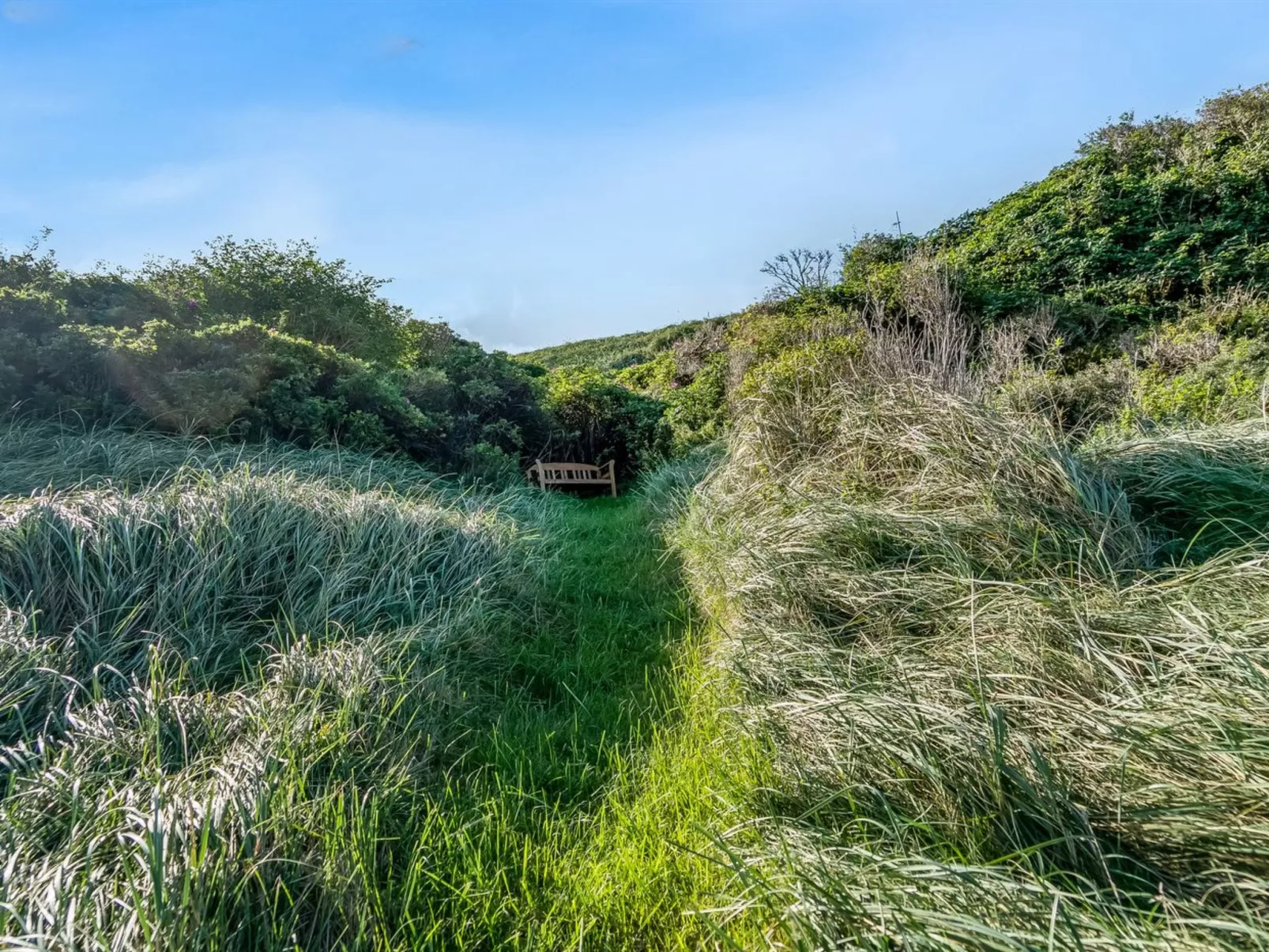 "Ineke" - 295m from the sea-Buiten