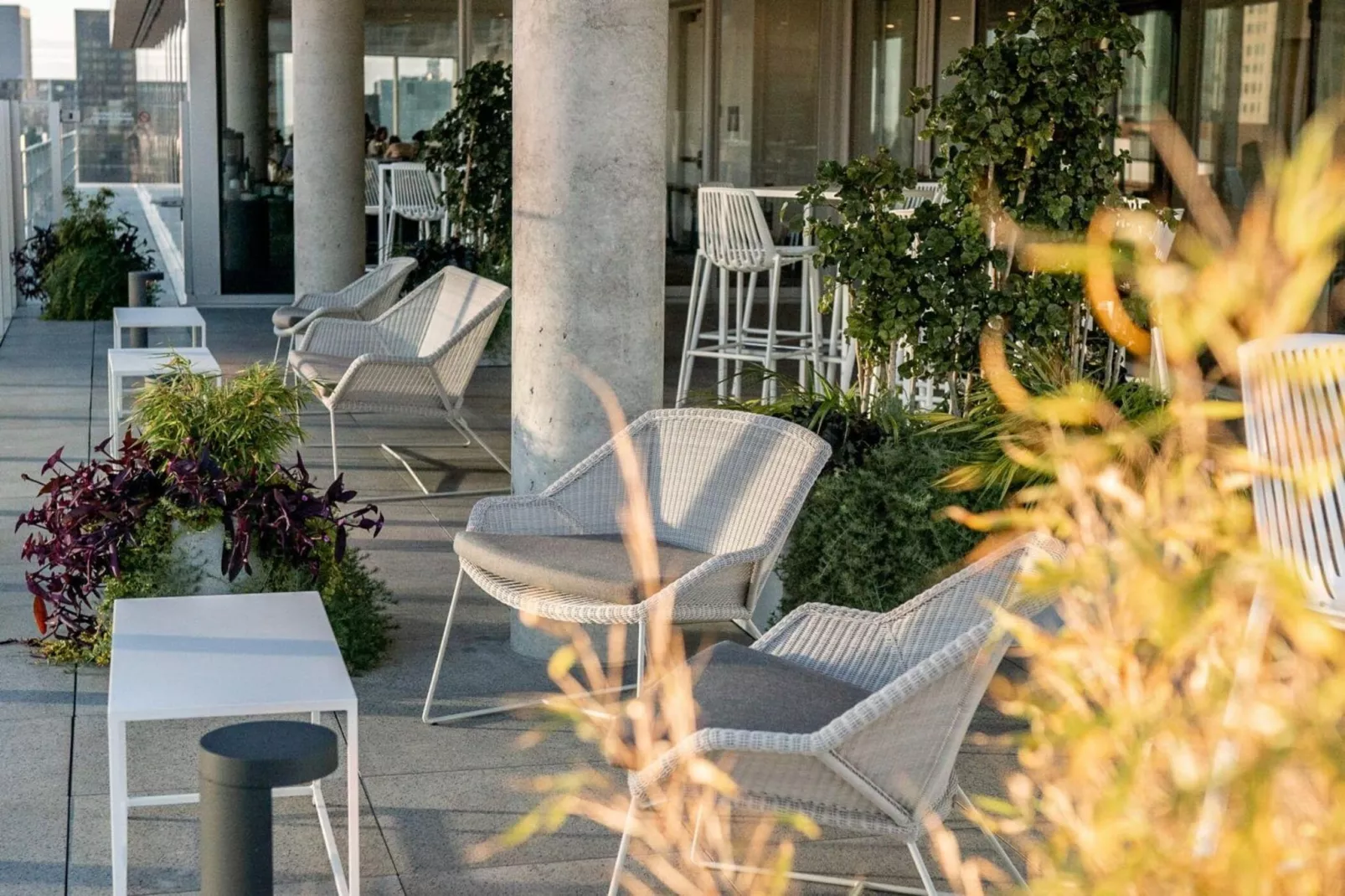 PETITE MAISON DANS LA PRAIRIE-Gebieden zomer 5km