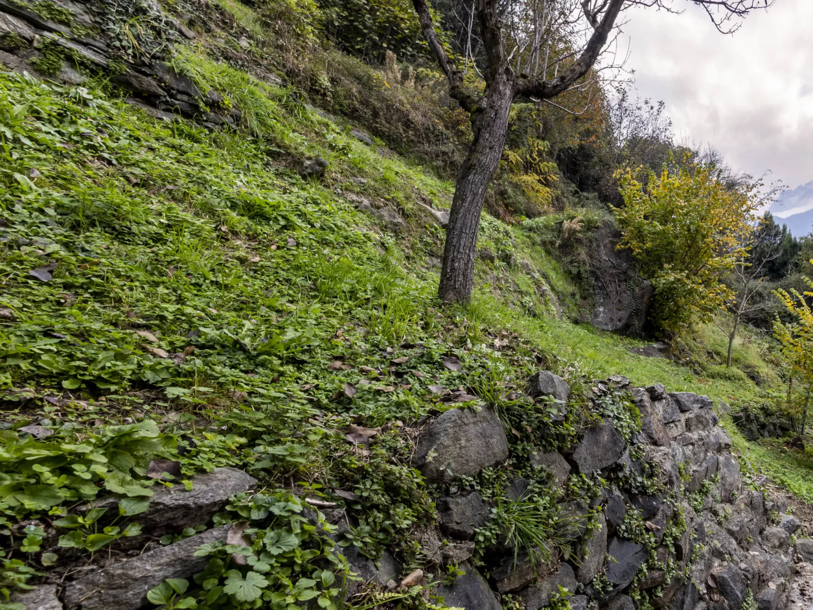 Borgonuovo Waterfall's House-Buiten