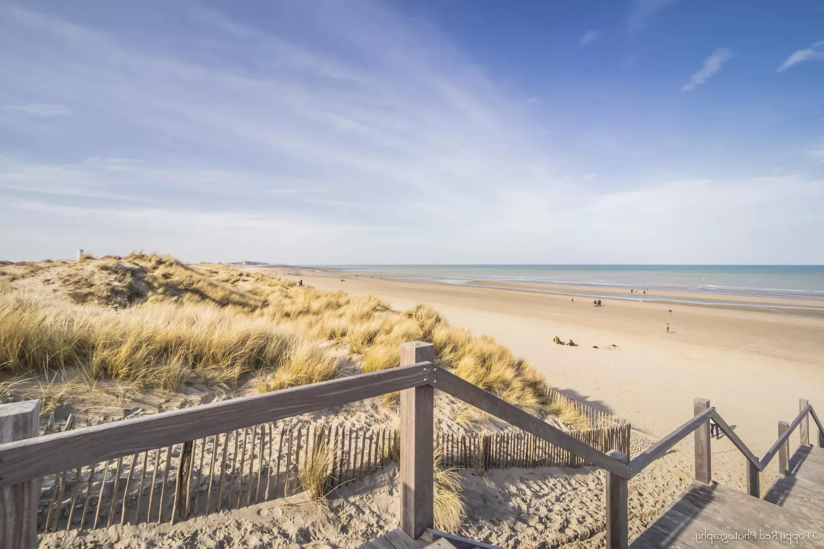 CAPE COD 201-Gebieden zomer 5km