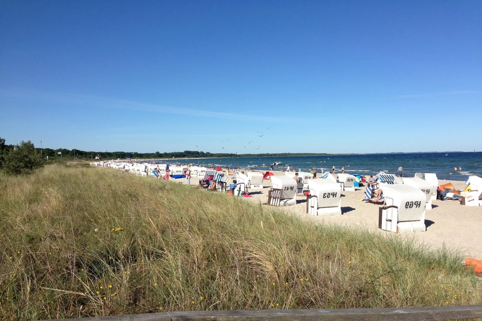 Ostseewind-Uitzicht zomer