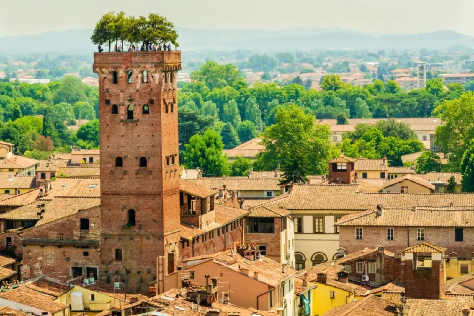 Aria di Lucca-Gebieden zomer 5km