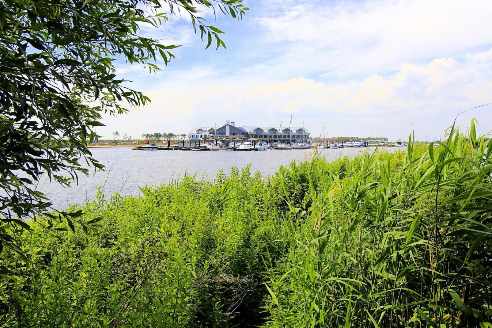 Resort Waterrijk Oesterdam 2-Gebieden zomer 1km