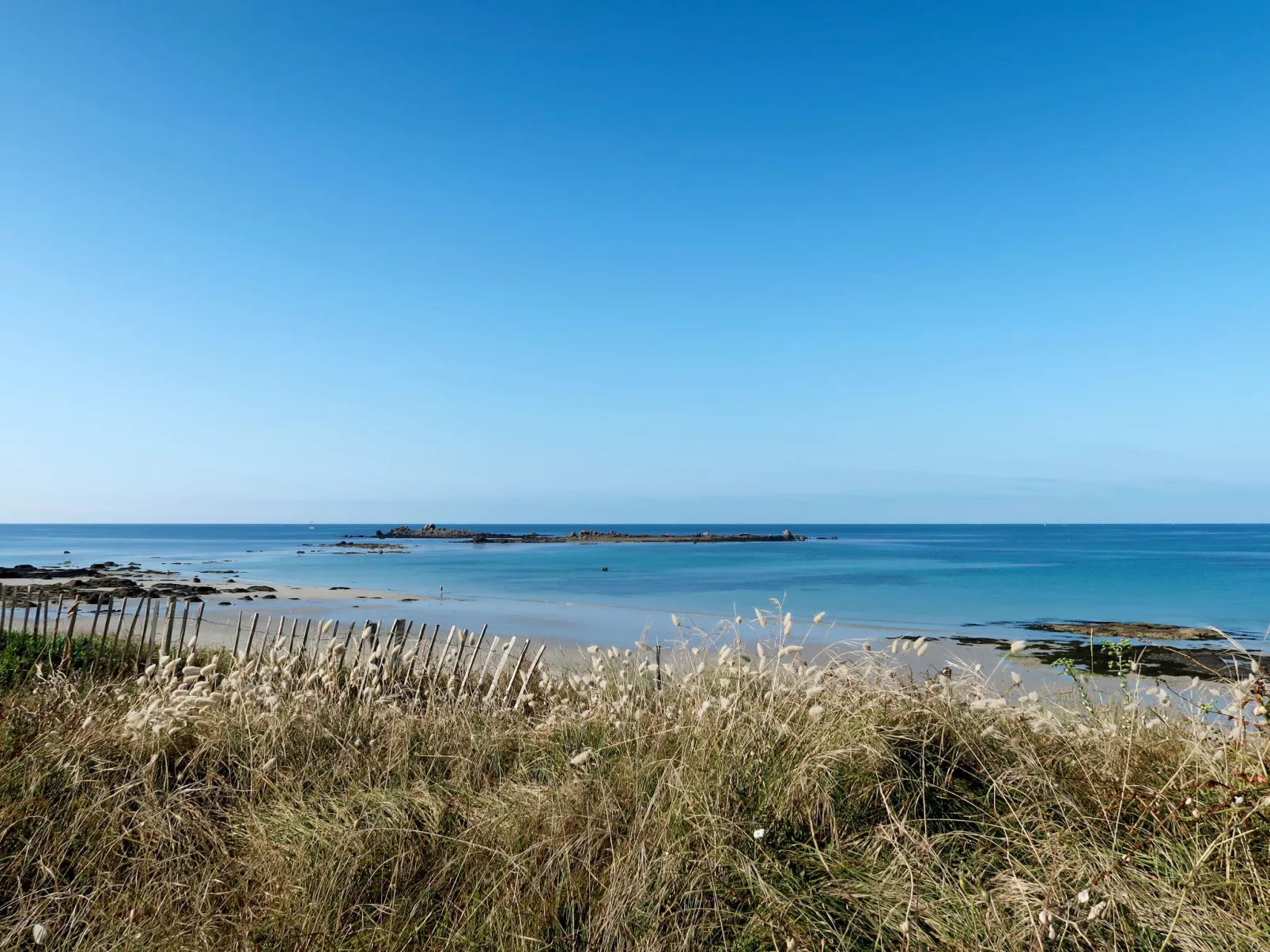 La mouette bleue-Omgeving