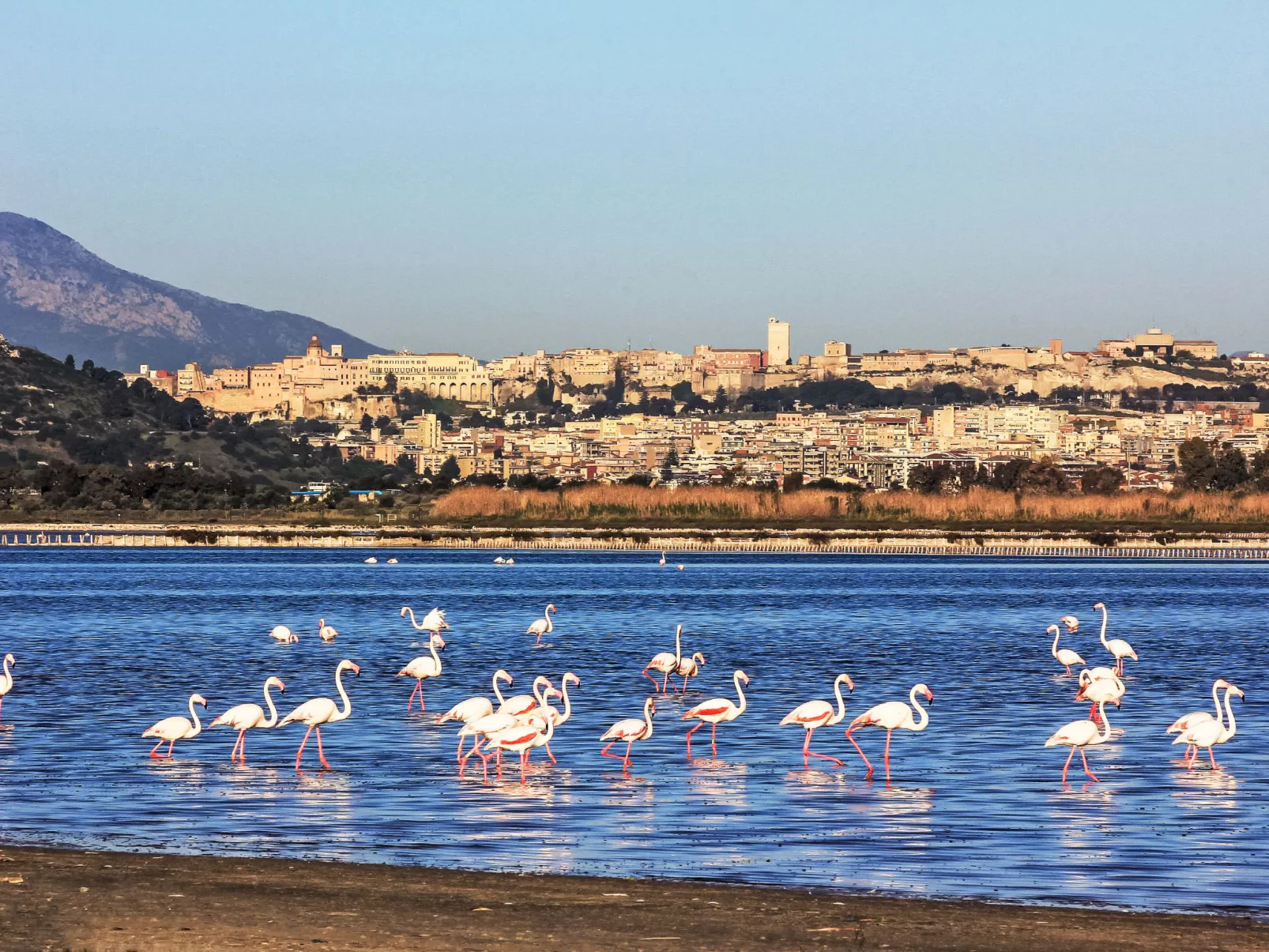 Cagliari Centro-Omgeving