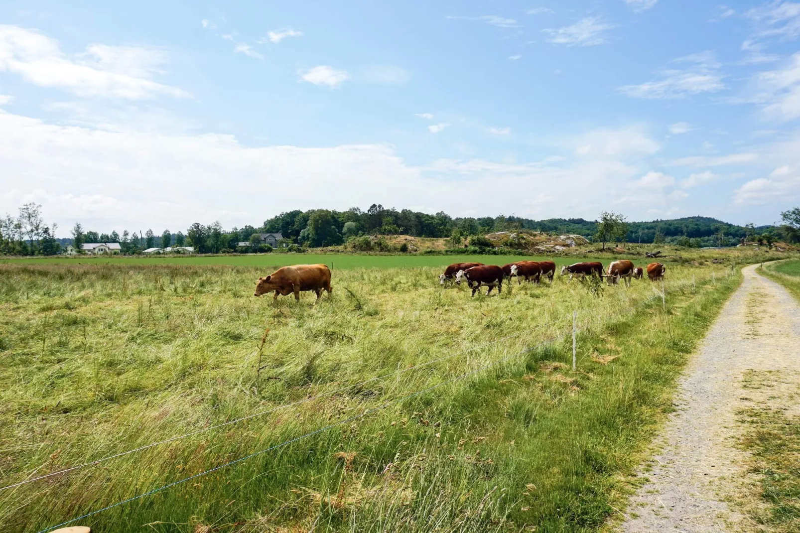 6 persoons vakantie huis in SUNNE-By Traum-Buitenlucht